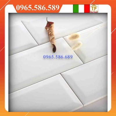 Gạch 10x20 mosaic vát cạnh trắng mờ VIN12T01