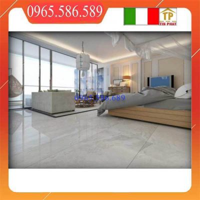 Gạch 60x120 C121J81P