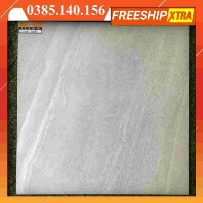 Gạch 60x60 Eurotile Viglacera NY10-GM-6602