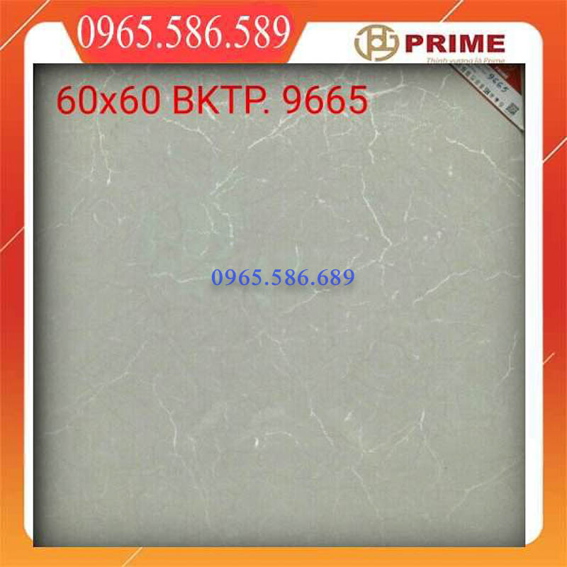 Gạch 60x60 Prime 9665