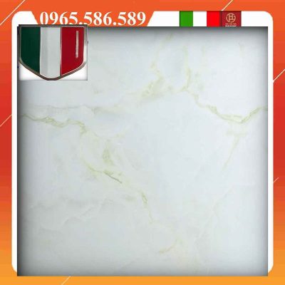 Gạch 80x80 màu xanh rêu M8009