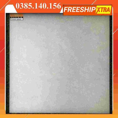 Gạch 60x60 Eurotile Viglacer NY8-GM-6602