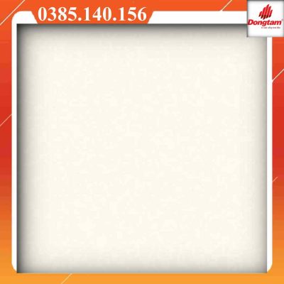 Alternative view of Gạch Đồng Tâm 100DB038-NANO xám nhạt