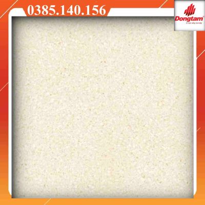 Gạch Đồng Tâm 8080ROME004-H màu kem terrazzo