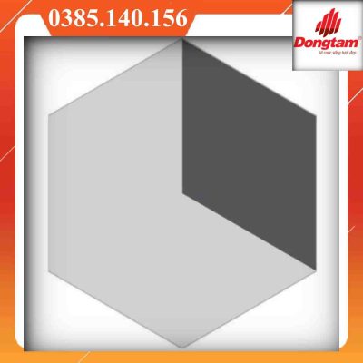 Alternative view of Gạch lục giác Đồng Tâm GB0520Q-GB0519Q