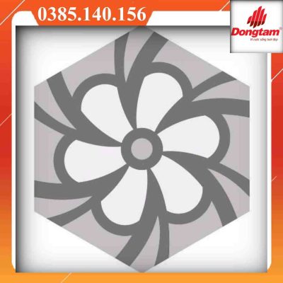 Gạch lục giác Đồng Tâm GB0522Q-01-GB0521Q