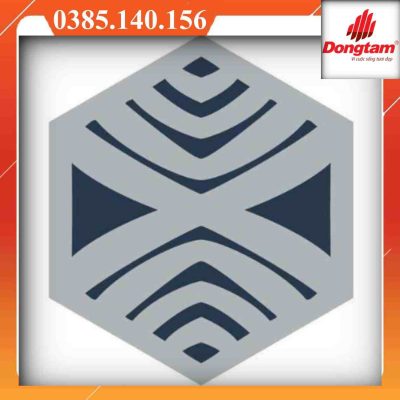 Gạch lục giác Đồng Tâm GB1073Q00-01