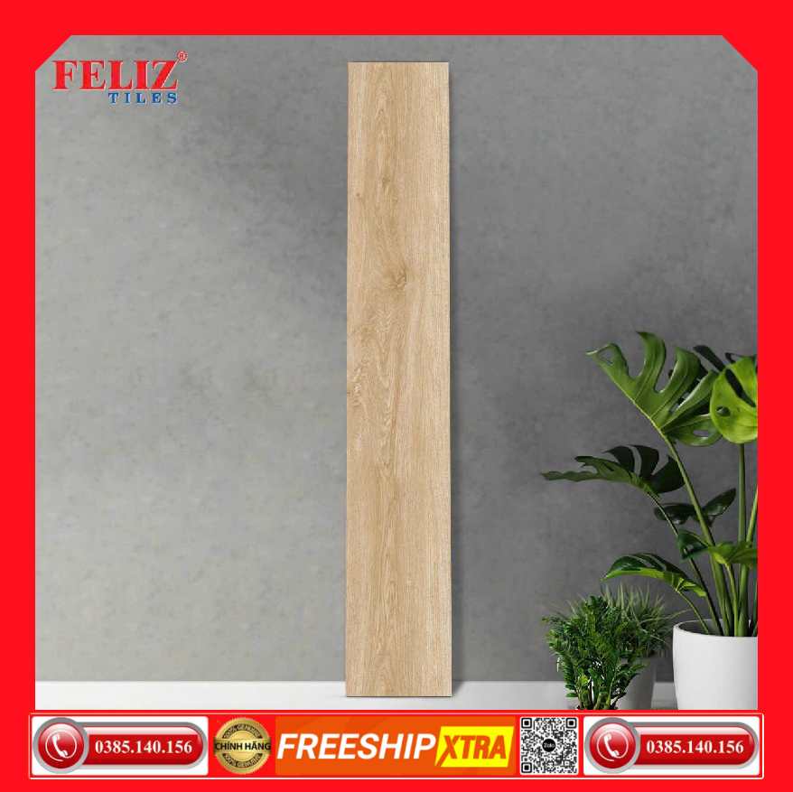 Gạch 20x120 Eurotile FE21205