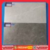Gạch 30x60 Eurotile GAM36007-GAM36008