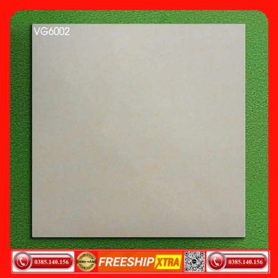 Gạch 60x60 Eurotile Feliz VG6002 đá xám mờ mịn