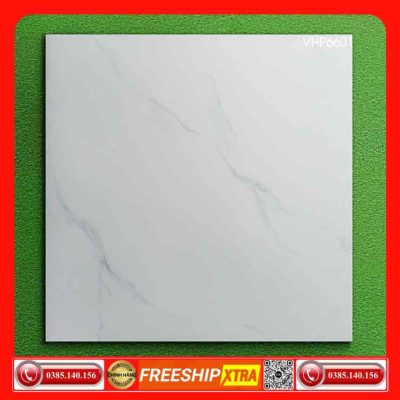 Gạch 60x60 Eurotile Feliz VHP6601 trắng vân xám Calacatta
