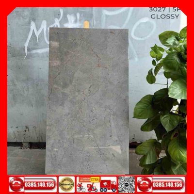 Gạch 60x120 Ấn Độ MTH 3027