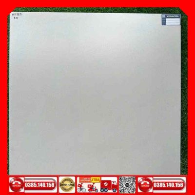 Gạch 80x80 Viglacera HM821