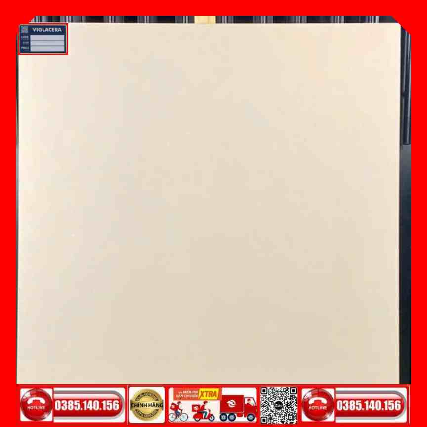 Gạch 60x60 Viglacera TS5601