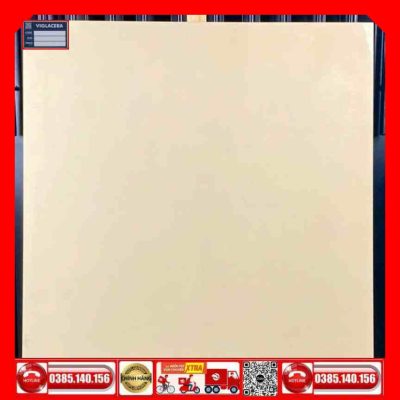 Gạch 60x60 Eurotile Viglacera TS5602