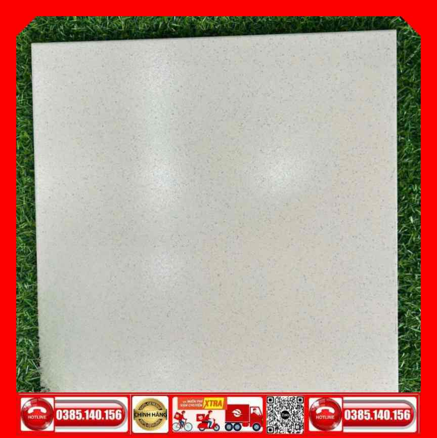 Gạch 80x80 Taicera GP88005