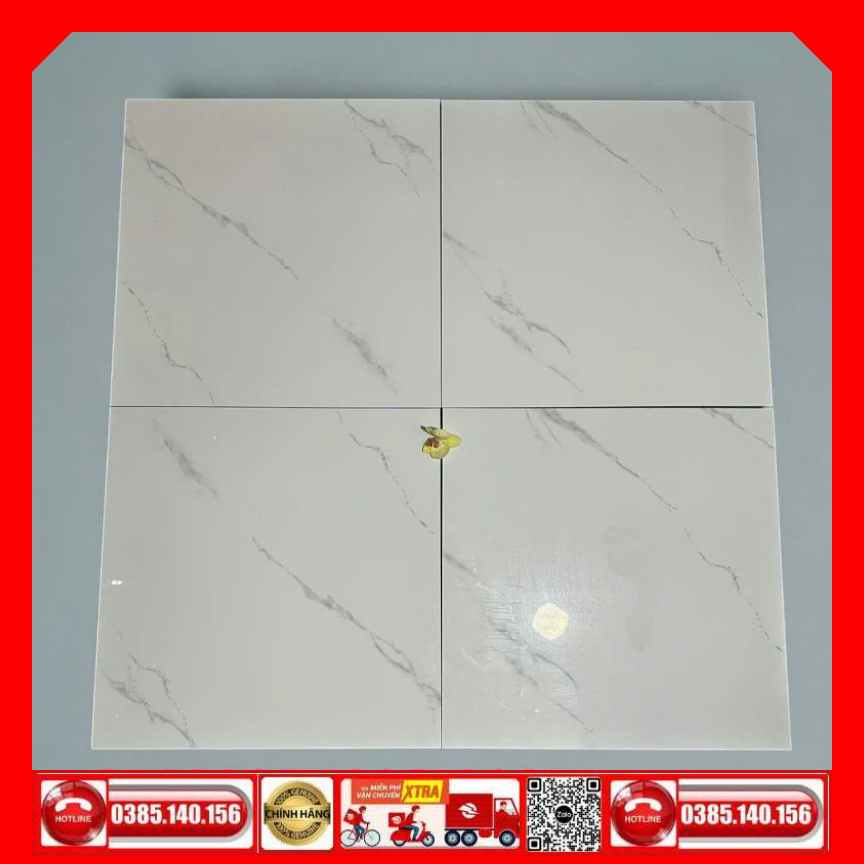 Gạch 80x80 Taicera GP88085