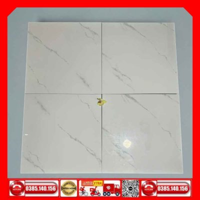 Gạch 80x80 Taicera GP88685