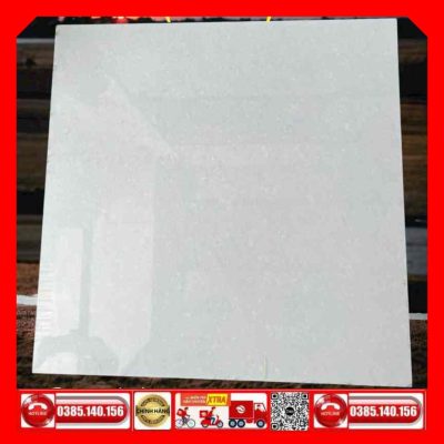 Gạch 80x80 Taicera P87702N