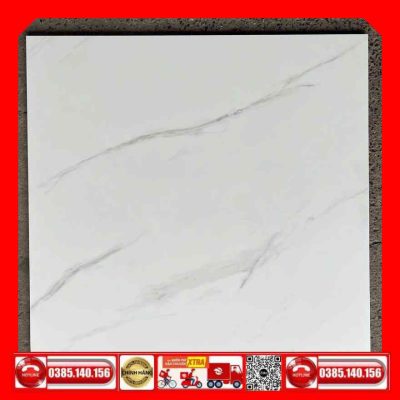 Gạch 90x90 Taicera G98865